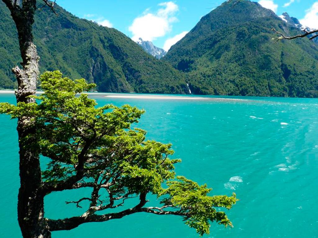 Mitico Puelo Lodge Las Gualas Bagian luar foto