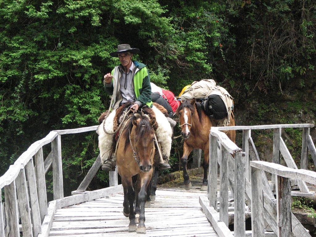 Mitico Puelo Lodge Las Gualas Bagian luar foto