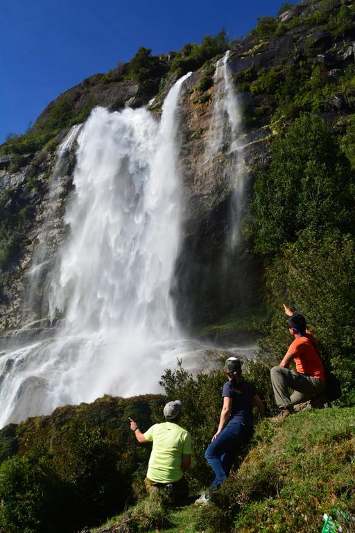 Mitico Puelo Lodge Las Gualas Bagian luar foto